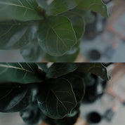 Cinematic LUT collection