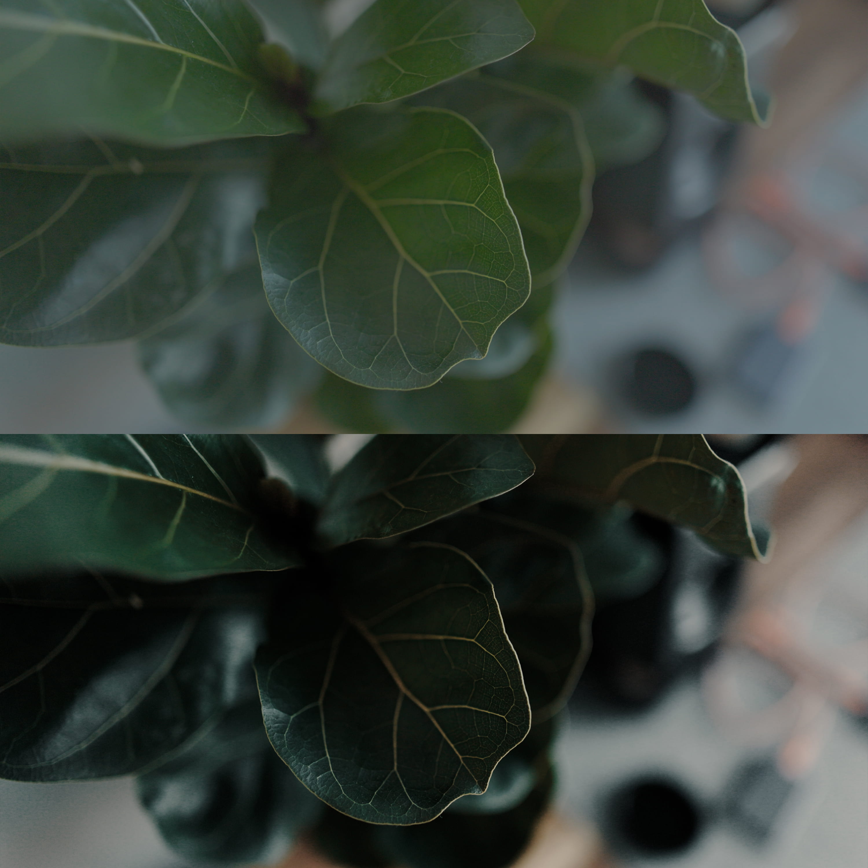 Cinematic LUT collection